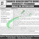 Jobs in Shaheed Benazir Bhutto University Peshawar
