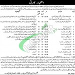 Jobs in Mines and Minerals Department Punjab