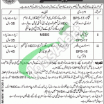Jobs in Cadet College Pano Aqil