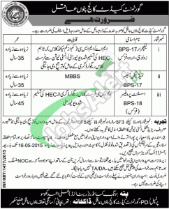 Jobs in Cadet College Pano Aqil