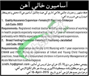 NGO Jobs