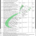 Jobs in Worker Welfare Board KPK