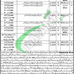 Jobs in Health Department Punjab