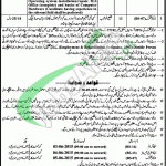 Jobs in District & Session Court Khushab