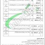 District & Session Court Rajanpur Jobs