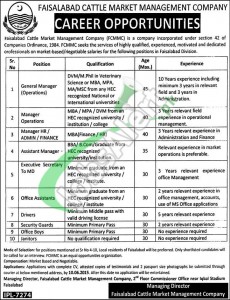 Faisalabad Cattle Market Management Company Jobs