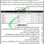 Town Municipal Administration Faisalabad Jobs