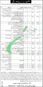 Mines & Minerals Department Punjab Jobs