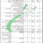 Mines & Minerals Department Punjab Jobs