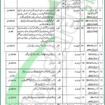 District & Session Court Jhang Jobs 2018