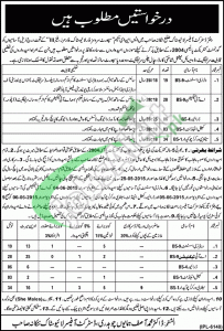 Jobs in Livestock Department Punjab