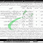 Jobs in Forest Department KPK