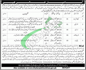 Jobs in Forest Department KPK