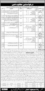 District & Session Court Bahawalpur Jobs