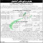 Government College for Women Gujrat Jobs