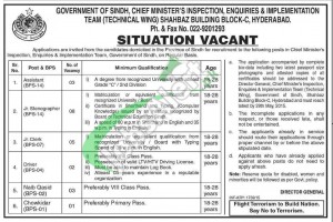 Jobs in Chief Minister Inspection Team Sindh