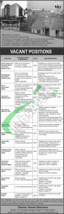 DHA Lahore Jobs