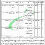 Jobs in Food Department Punjab