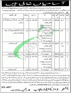 Jobs in Food Department Punjab