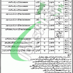 Reclamation & Probation Department Punjab Jobs