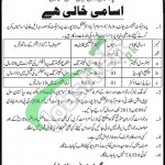 CAA Pakistan Jobs