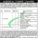 Project Management Unit Lahore Jobs