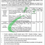 P&D Department Punjab Jobs