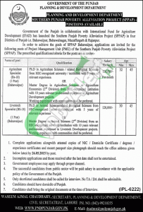 P&D Department Punjab Jobs