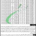 Population Welfare Department Punjab Jobs