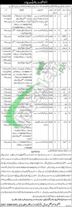 Jobs in Health Department Punjab