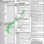 PPSC Jobs