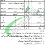 Jobs in MDA Multan