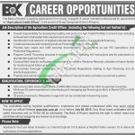 Bank of Khyber Jobs