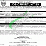 Energy Department Punjab Jobs