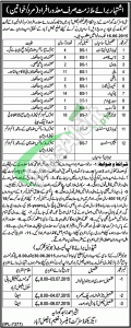 Jobs in Education Department Punjab