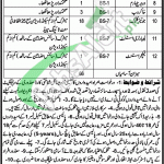 Jobs in Education Department Punjab