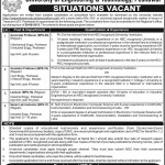 Jobs in UET Peshawar