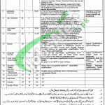 Jobs in Faisalabad