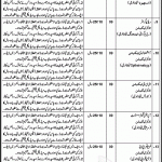 Health Department Sialkot Jobs