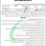 Civil Court Jhang Jobs