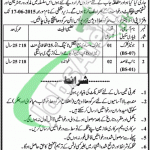 Food Department Punjab Jobs