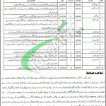 Health Department Punjab Jobs