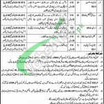 Jobs in Livestock Department Punjab