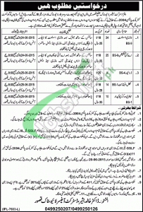 Jobs in Livestock Department Punjab