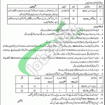 Jobs in Livestock Department Punjab