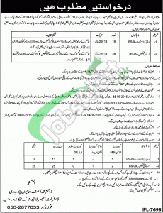 Jobs in Livestock Department Punjab