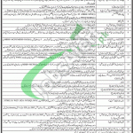 PPHI Jobs