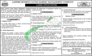 Lahore Division Cattle Market Jobs