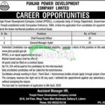 Punjab Power Development Company Limited Jobs