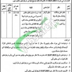 Jobs in Forest Department Punjab